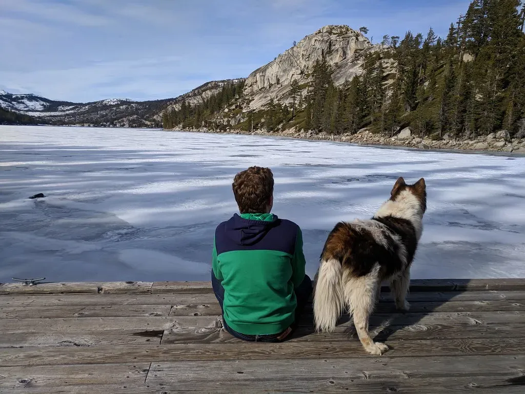 How to Help Your Water-Shy Dog Build Confidence (Image Credits: Flickr)