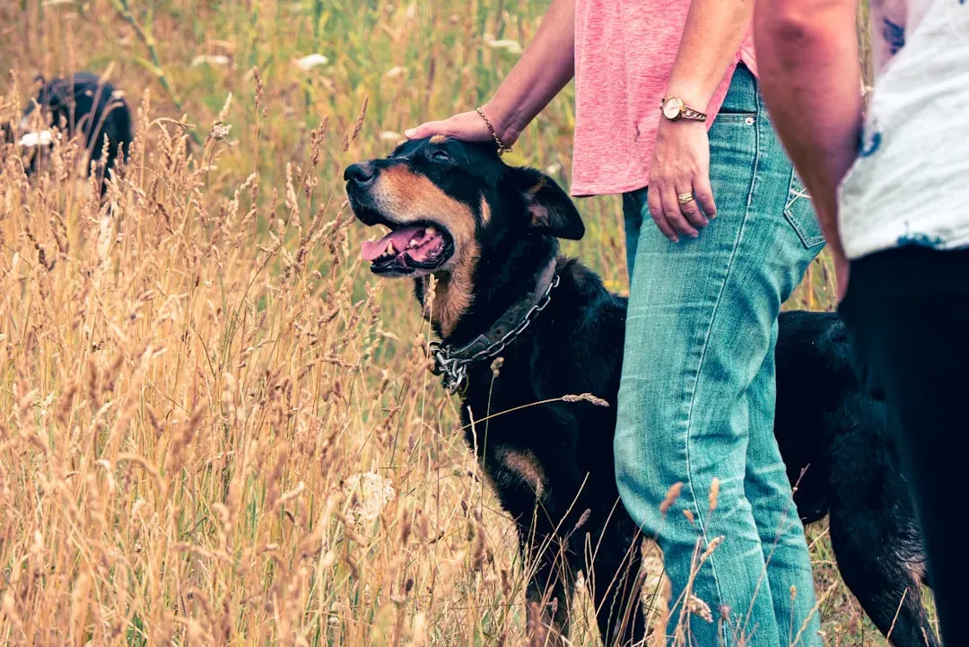 Conclusion (Image Credits: Unsplash)