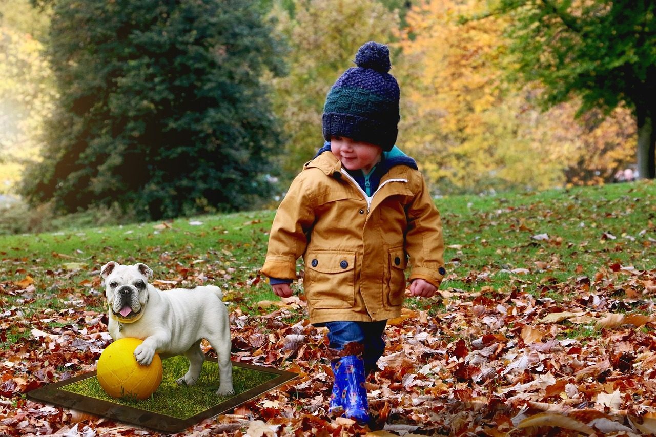 Bulldogs: Steady Temperaments in Sturdy Bodies (Image Credits: Pixabay)