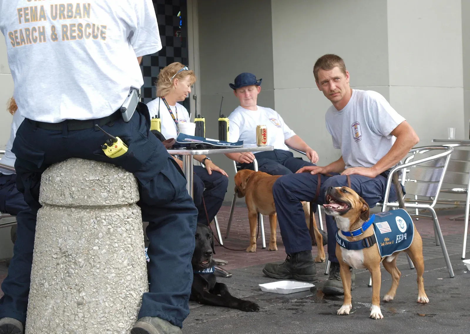 #2 - They Stop Needing Eyes On Every Move You Make (This image is from the FEMA Photo Library (obsolete as of 2019).An archived copy may be found at the Wayback Machine (note: link may be permanently dead, as not all photos were backed up in this way).If the FEMA link is permanently dead, the photo can be found at NARA Access to Archival Databases (only works if photo was taken between 1989 and October 2004), or at City-data.com., Public domain)