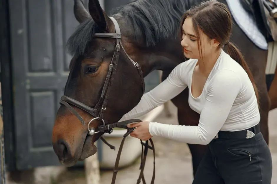 Conclusion: It’s Not the Horse’s Fault - It’s the Match (Image Credits: Pexels)