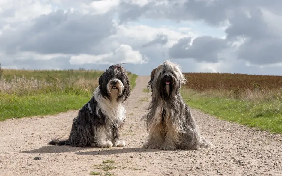 Compact Yet Powerful Build (Image Credits: Pexels)