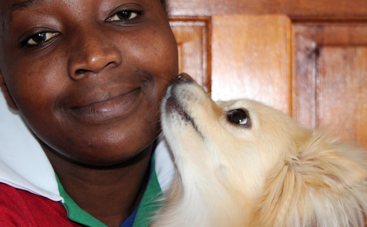 They Prioritize Relationships Over Individual Incidents (Image Credits: Pixabay)