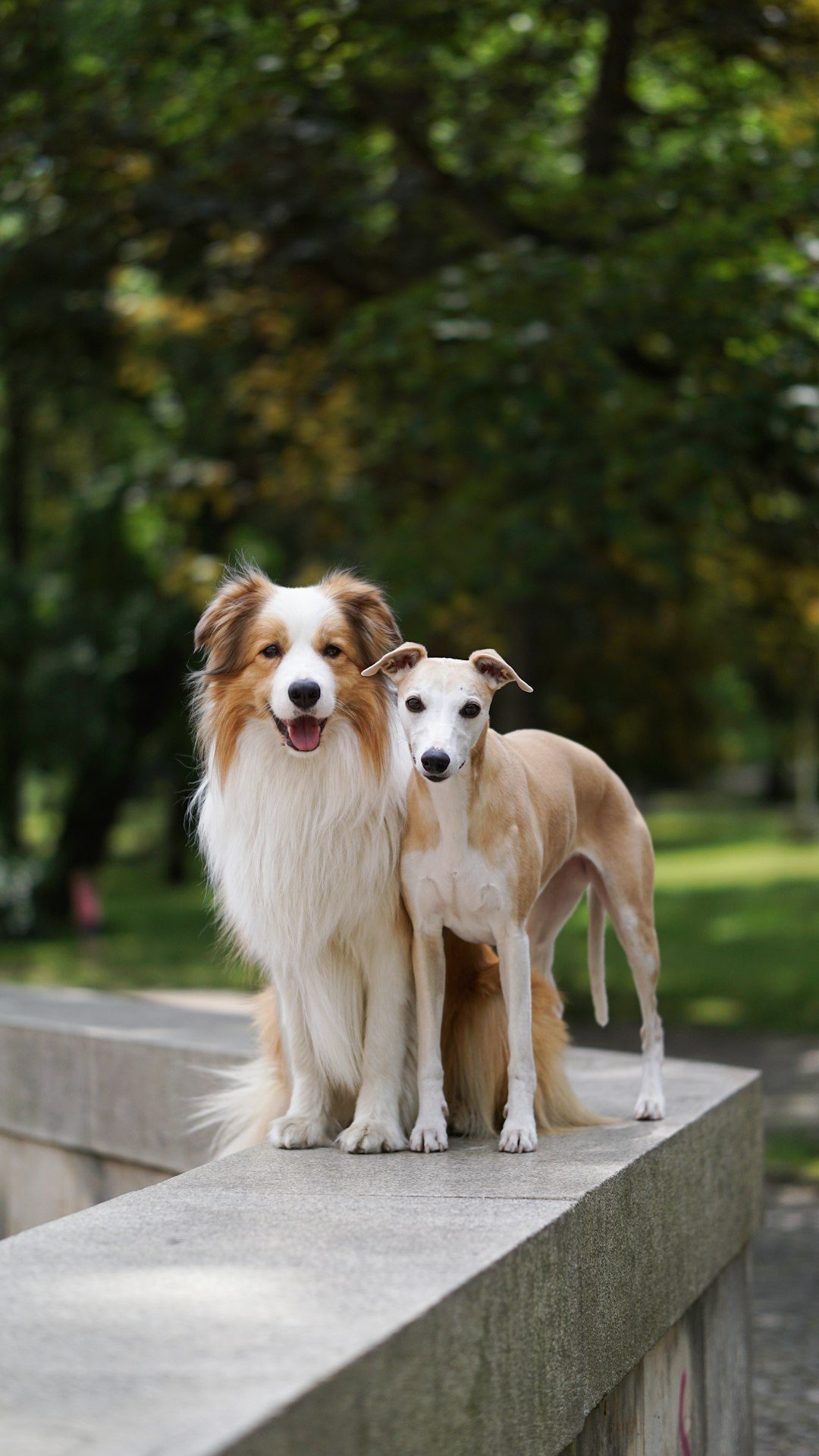 Conclusion (Image Credits: Unsplash)