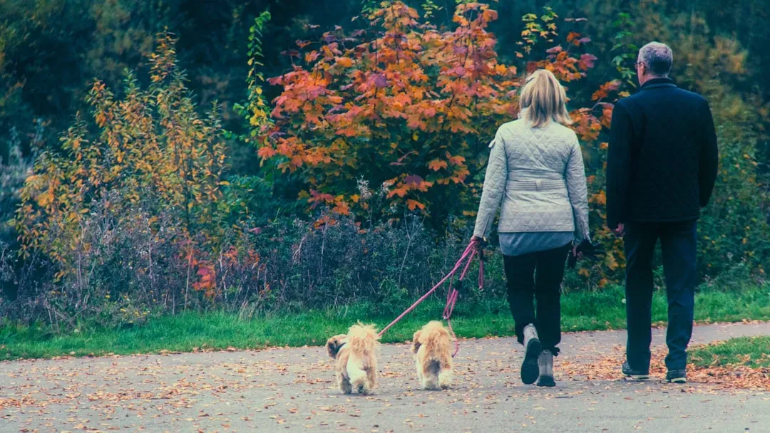 #5 - Letting the Dog Pull, Wander, or "Self-Walk" on Leash (Image Credits: Unsplash)