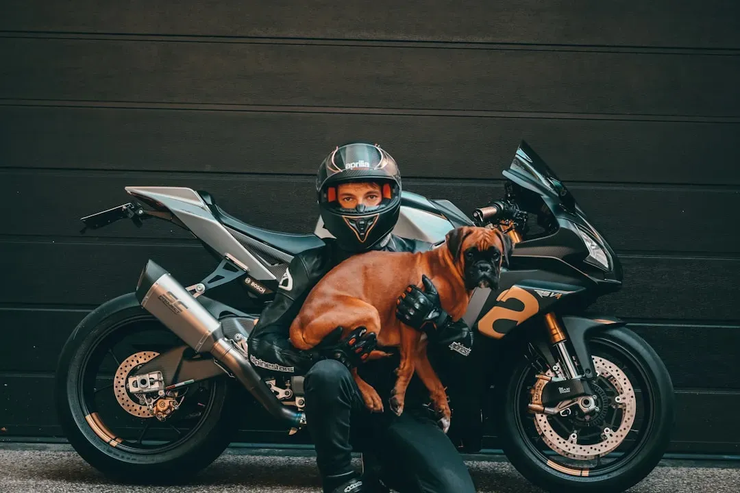 8. Motorcycles and Loud Vehicles: Street-Level Stress (Image Credits: Unsplash)