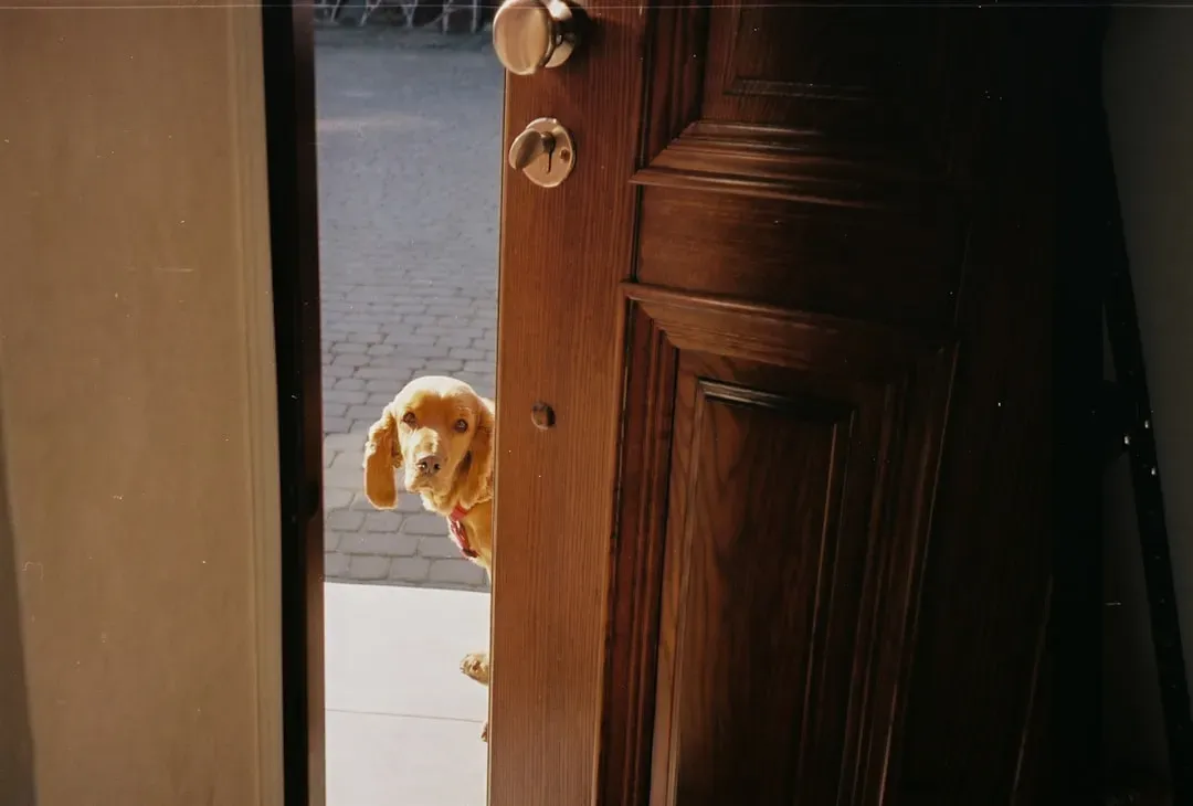 #12 - The Exact Sound of the After-School Door (Image Credits: Unsplash)