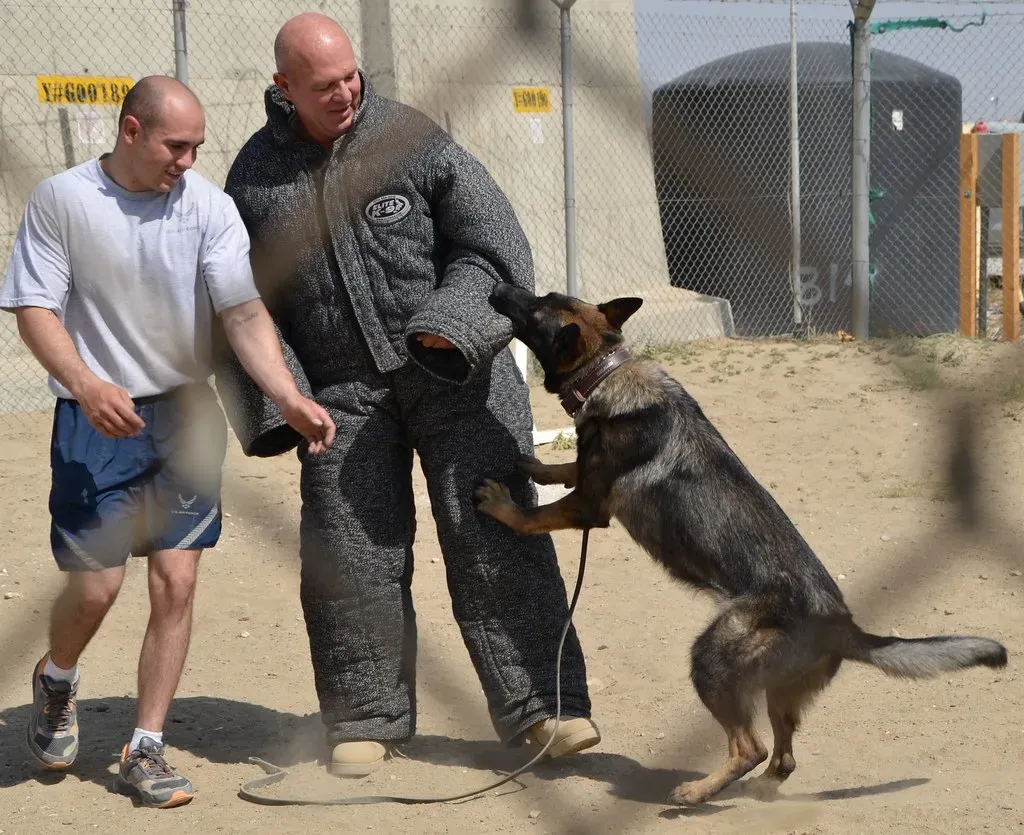 #5: Using Deliberate Communication to Get What They Want (401st_AFSB, Flickr, CC BY 2.0)