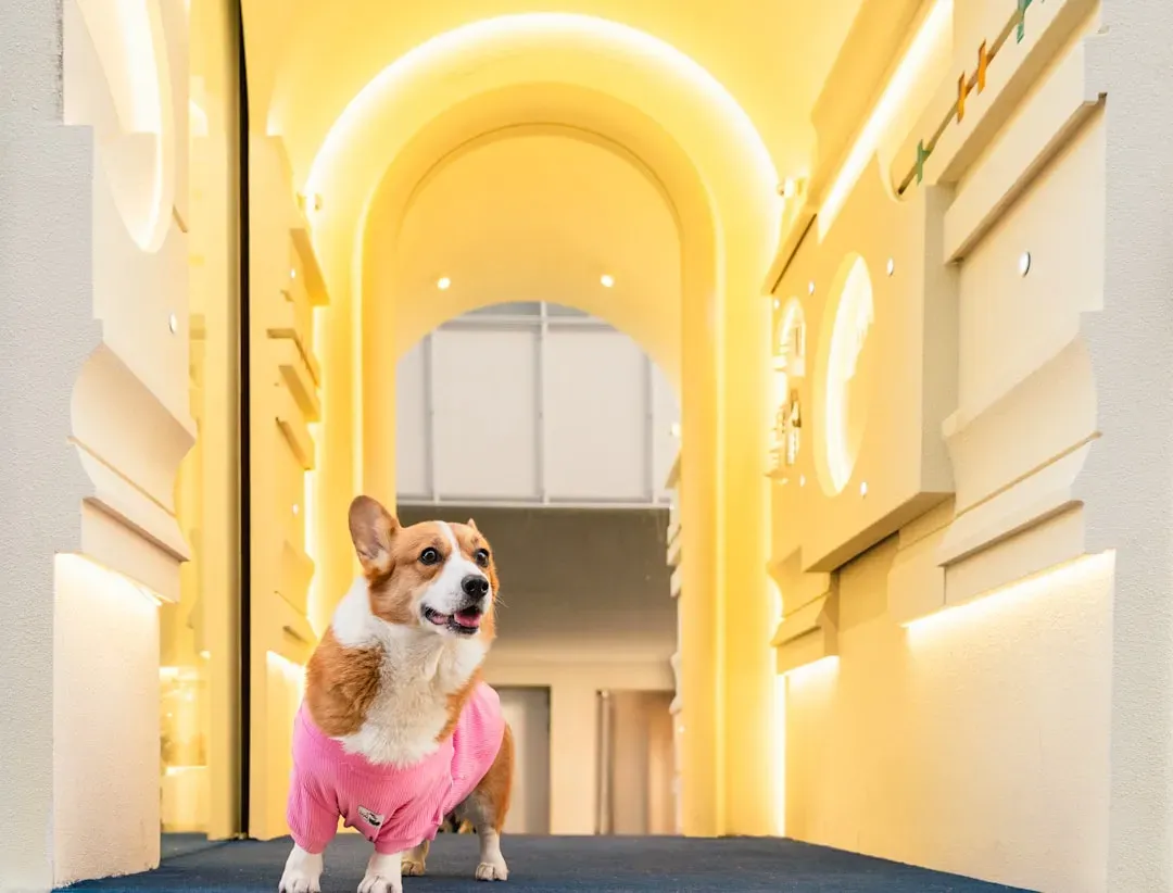 Sign #6: The Strategic Positioning Around the House (Image Credits: Unsplash)