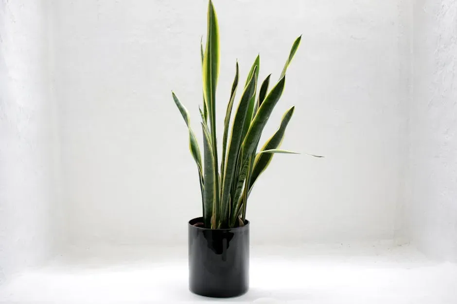 6. Snake Plant (Mother-in-Law's Tongue): The Air Purifier With a Catch (Image Credits: Pexels)
