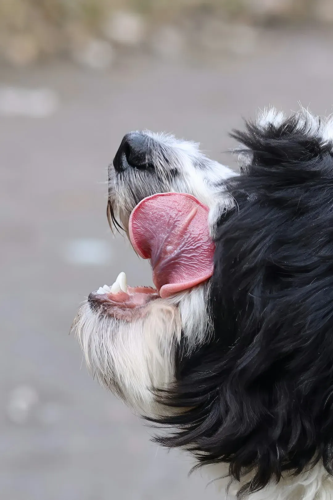 Lip Licking Isn't Always About Food (Image Credits: Unsplash)