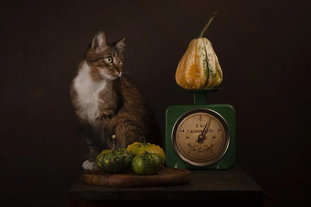 #3 - Odd Weight Swings Expose Feeding Struggles at Home (Image Credits: Unsplash)
