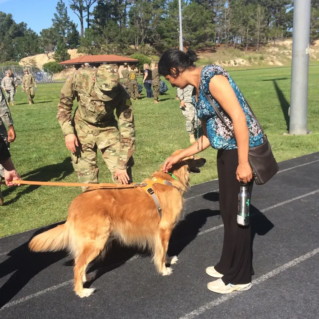 Resilience Means Getting Back Up (Image Credits: Flickr)