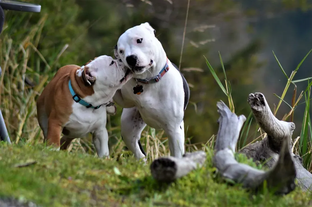 #9: Sprinting Toward You After Any Separation (Image Credits: Unsplash)