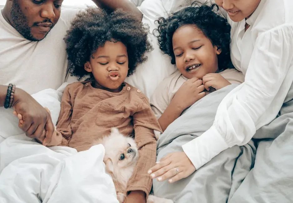 What This Means for You as a Dog Owner (Image Credits: Pexels)