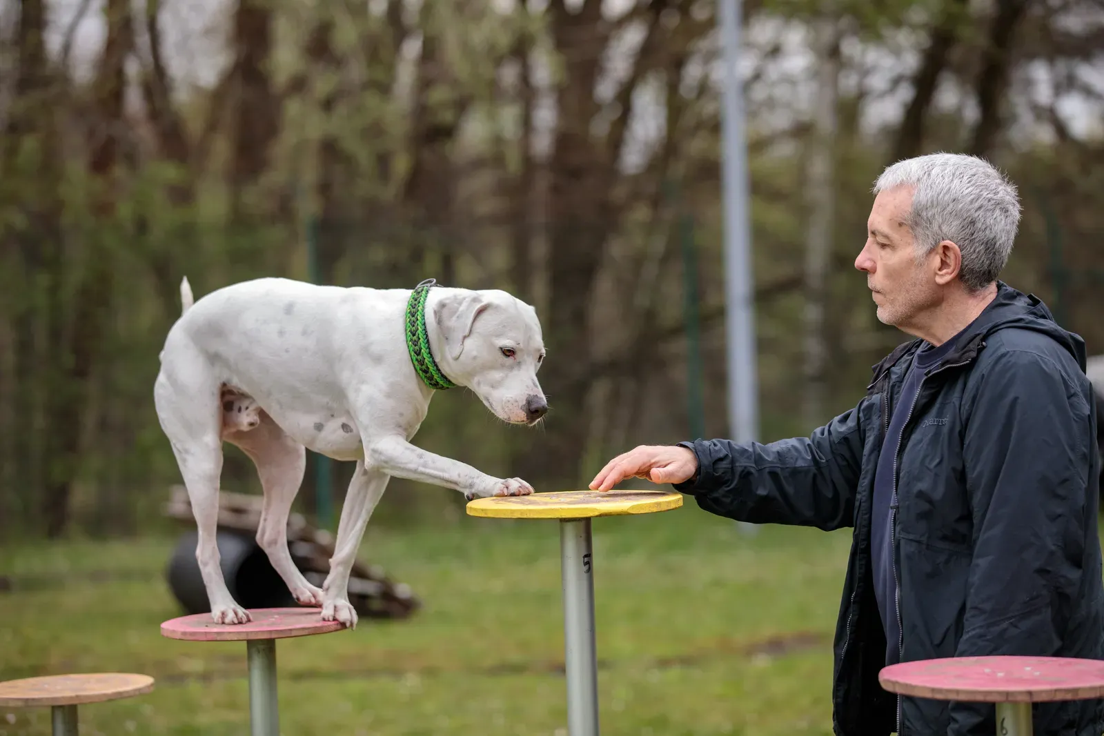 Making Peace With Structure (Image Credits: Wikimedia)