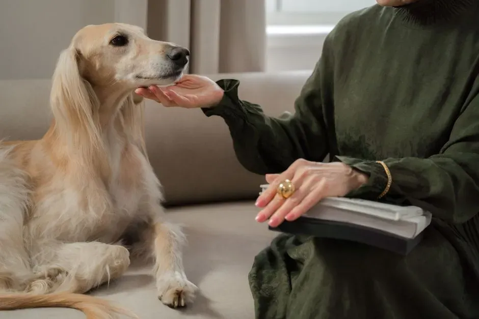 Aquarius Innovation in Unique Pet Bonds (Image Credits: Pexels)