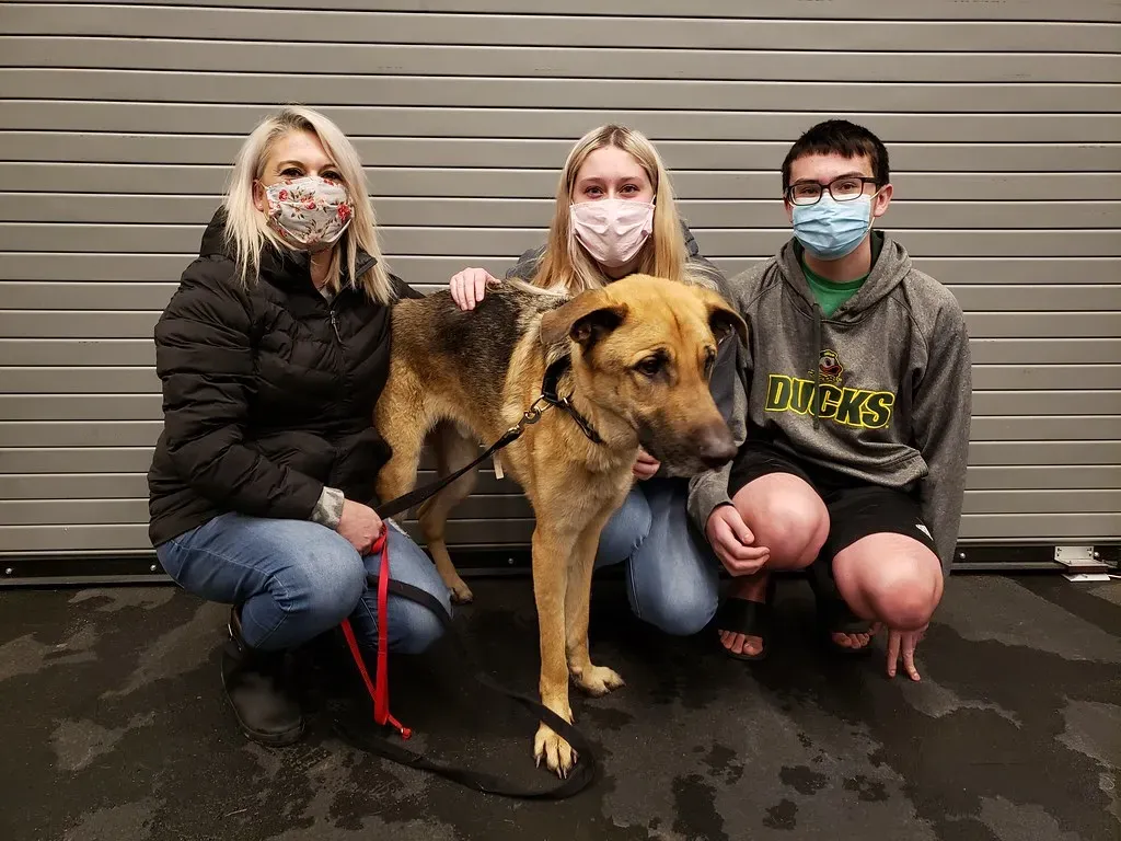 Using Dull or Dirty Grooming Tools (Image Credits: Flickr)