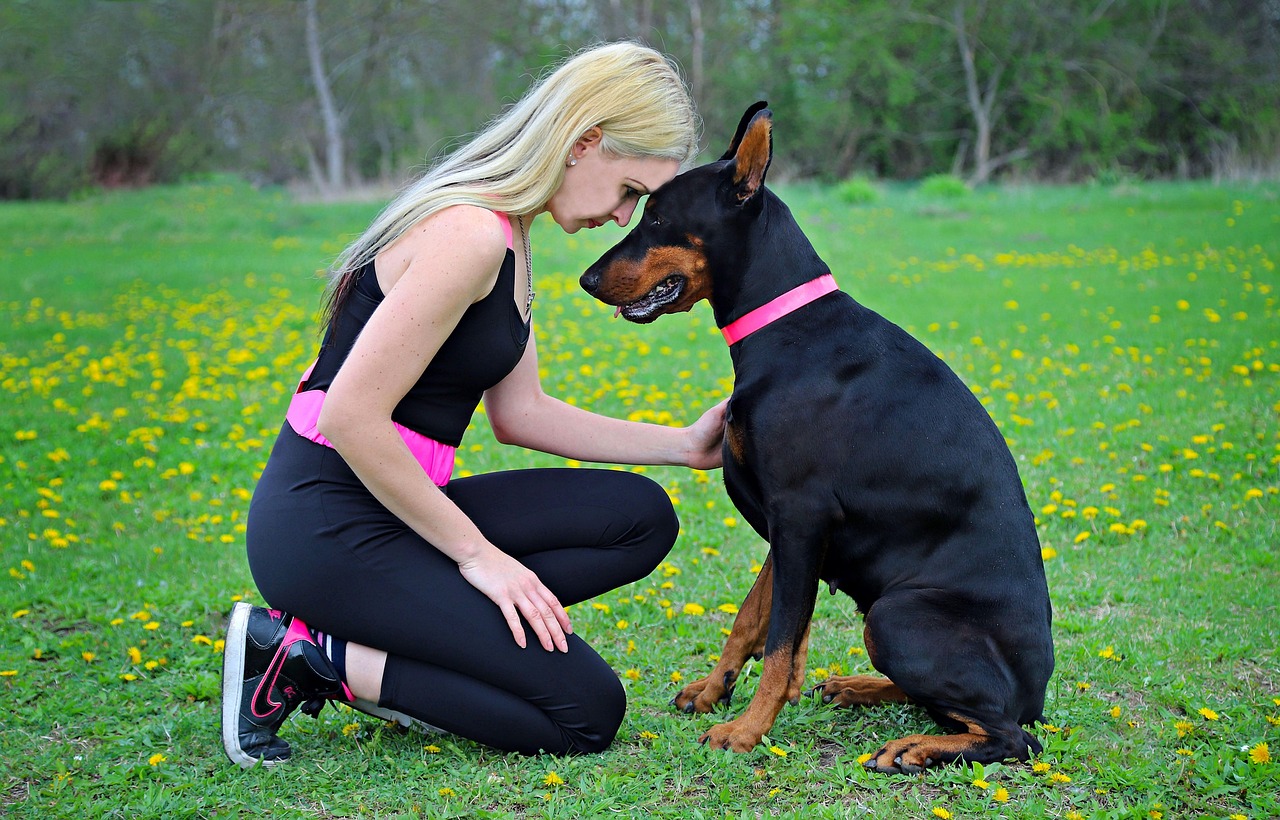 Senses Emotional Changes Before You Do (Image Credits: Pixabay)