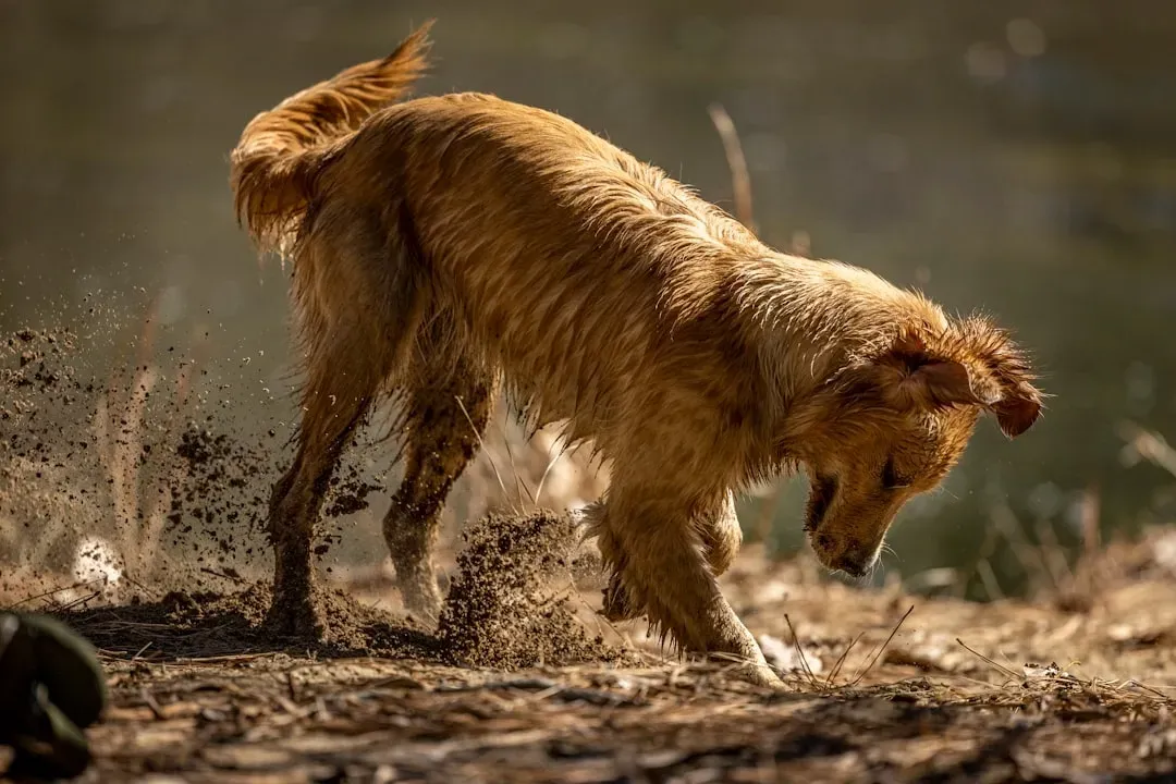 It All Starts With Their Wild Ancestors (Image Credits: Unsplash)