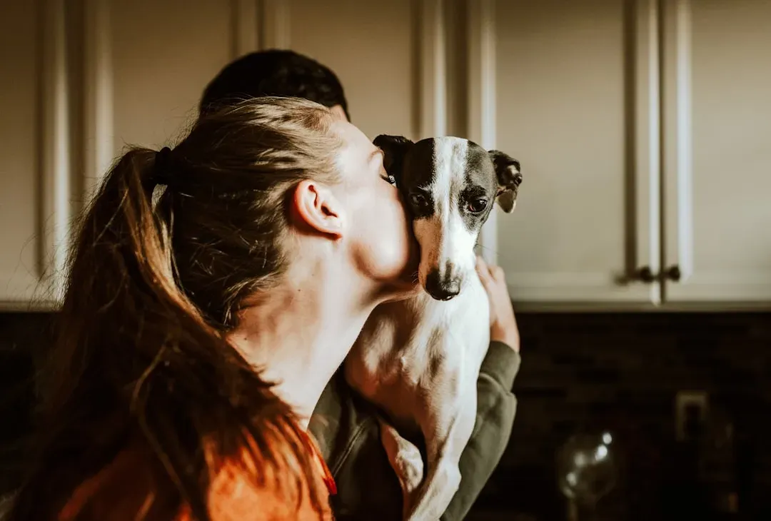 Recognizing Your Dog's Favorite Person Signals (Image Credits: Unsplash)