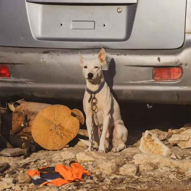 2. Choose the Right Restraint for Your Dog's Size and Temperament (Image Credits: Pexels)