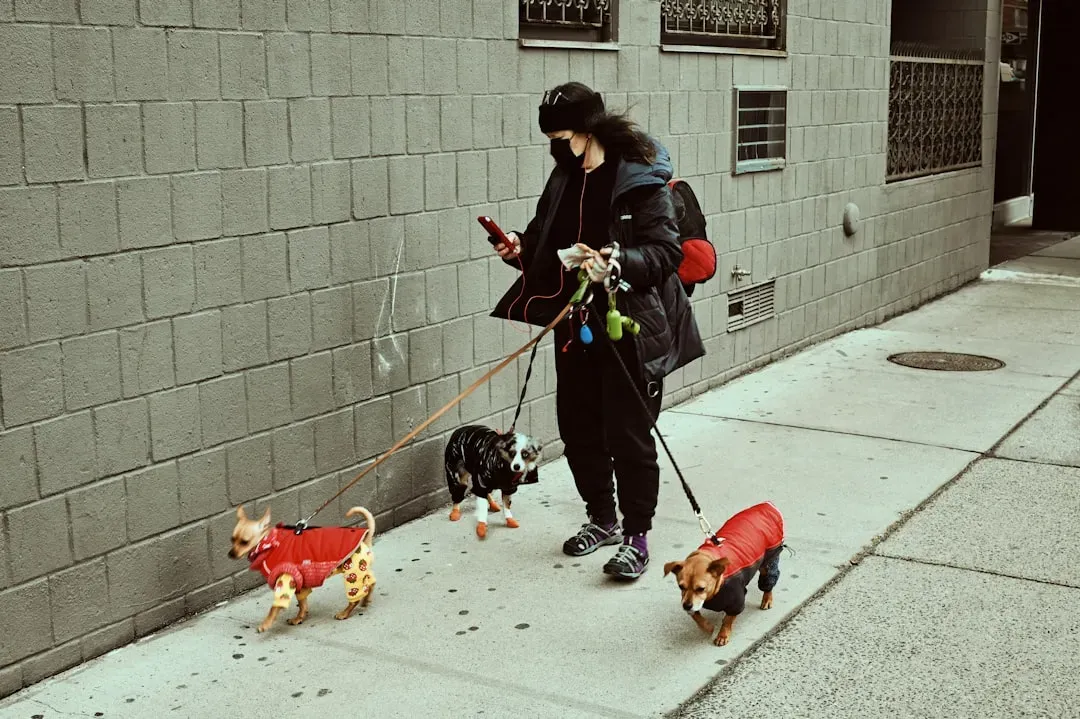 Conclusion: Finding the Right Dog for Your New York Life (Image Credits: Unsplash)