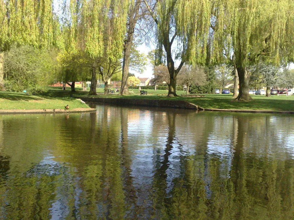 3. They Gave Willows and Aspens a Fighting Chance (clarelovell, Flickr, CC BY-SA 2.0)