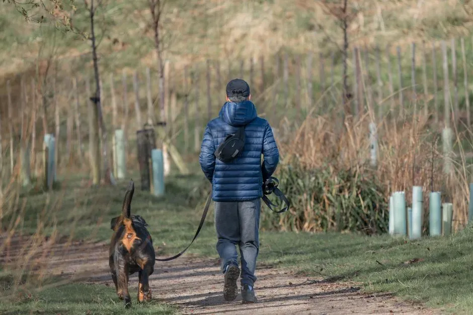 The Subtle Language Behind the Approach-and-Leave Move (Image Credits: Pexels)