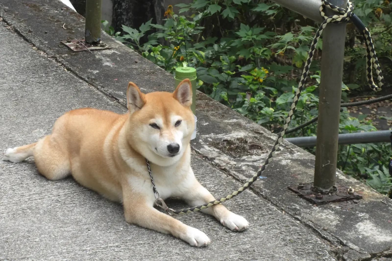 Wisconsin: Upper Midwest Tick Territory (Image Credits: Wikimedia)
