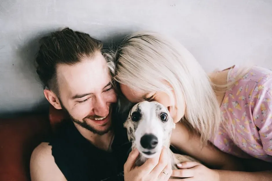 Whippet: The Gentle, Easygoing Independent (Image Credits: Pexels)