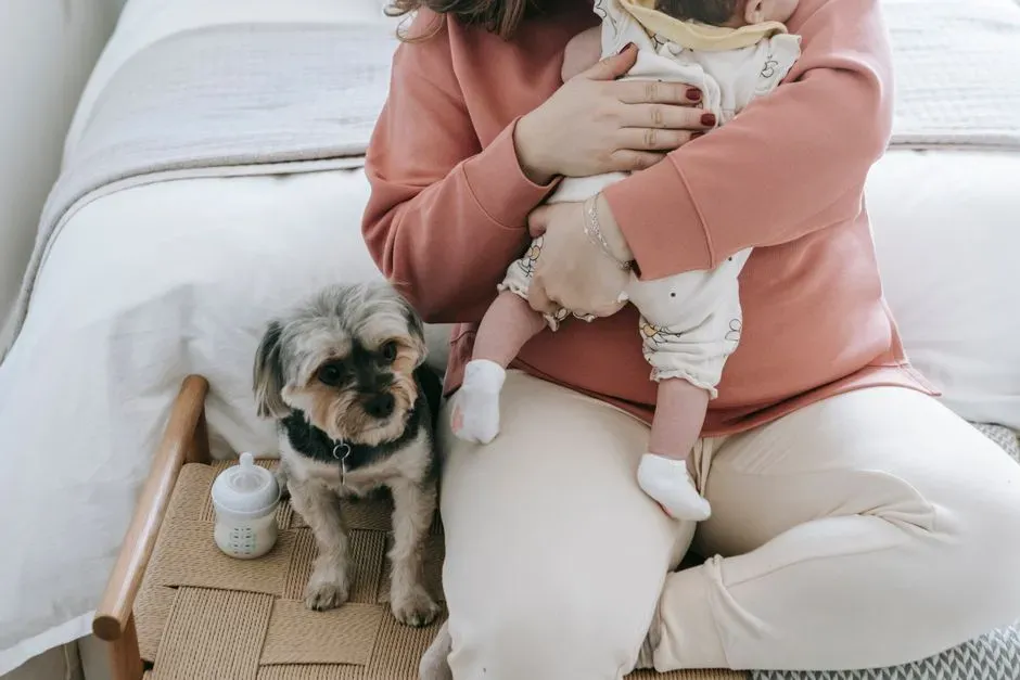 Cancer: The Nurturing Companion (Image Credits: Pexels)
