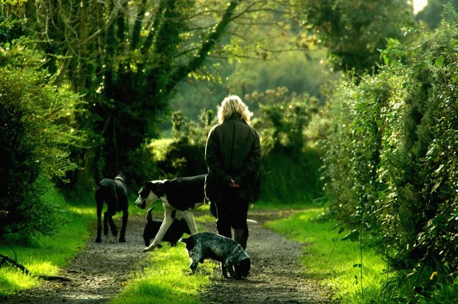 #6: Walks Protect Their Physical Health in Ways That Add Up Over Time (Image Credits: Pexels)