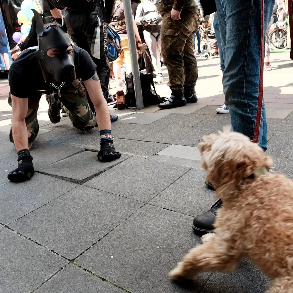 Scottsdale, Tampa, and Portland: The Rental-Friendly, Restaurant-Ready All-Stars (khakidoggy, Flickr, CC BY 2.0)