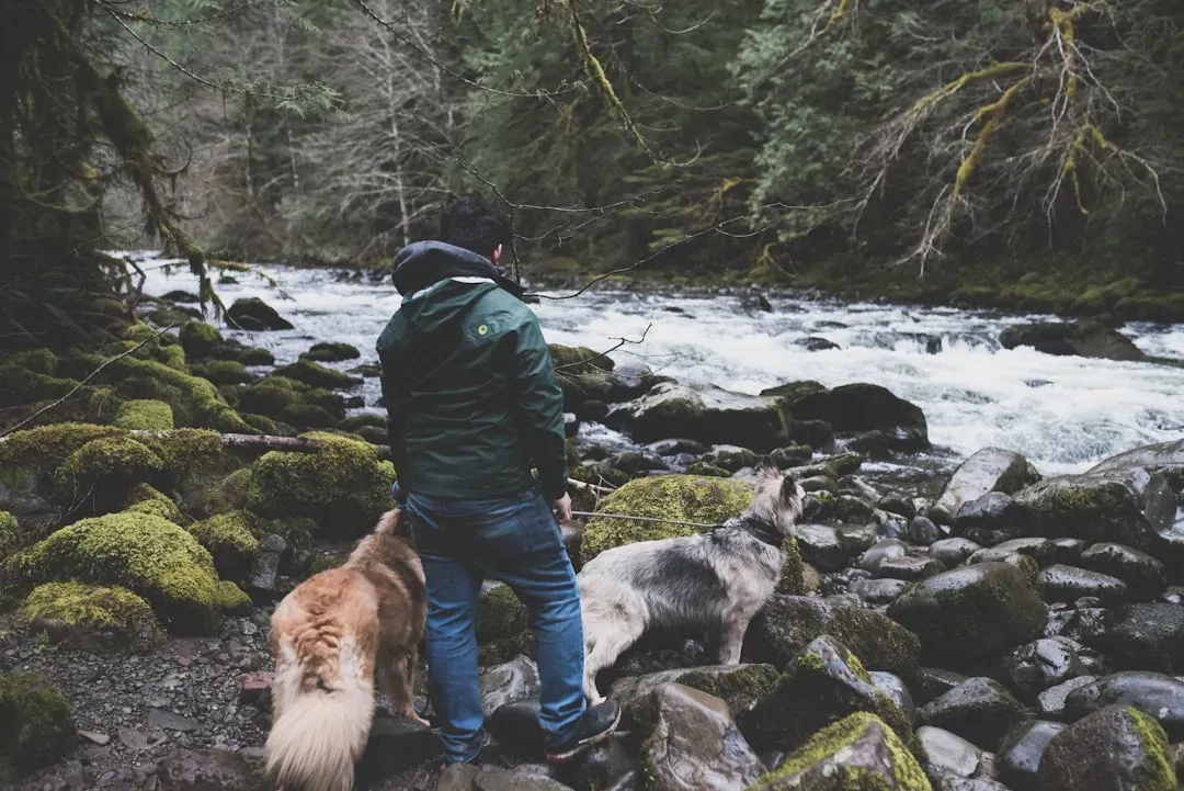 A Haven for Dogs and Their People (Image Credits: Unsplash)