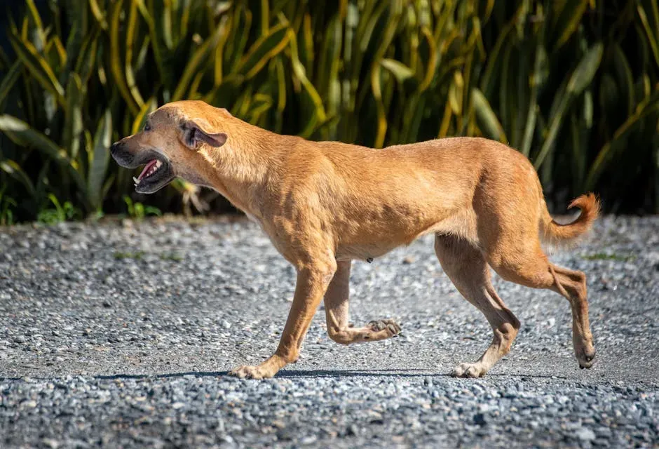 Restlessness and the Inability to Settle (Image Credits: Pexels)