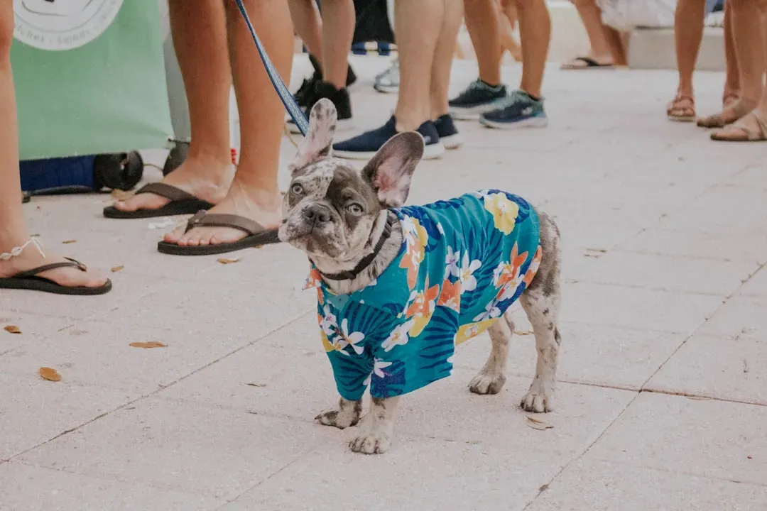 Florida: Humidity and Heat Combined (Image Credits: Unsplash)