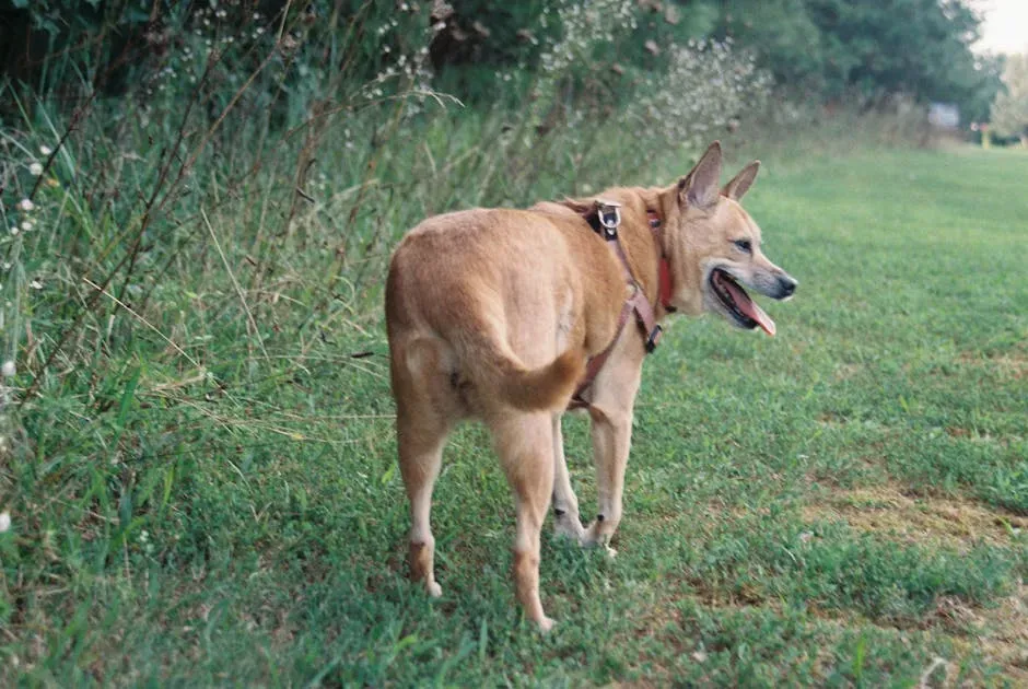 3. They Walk Away Mid-Interaction (Image Credits: Pexels)