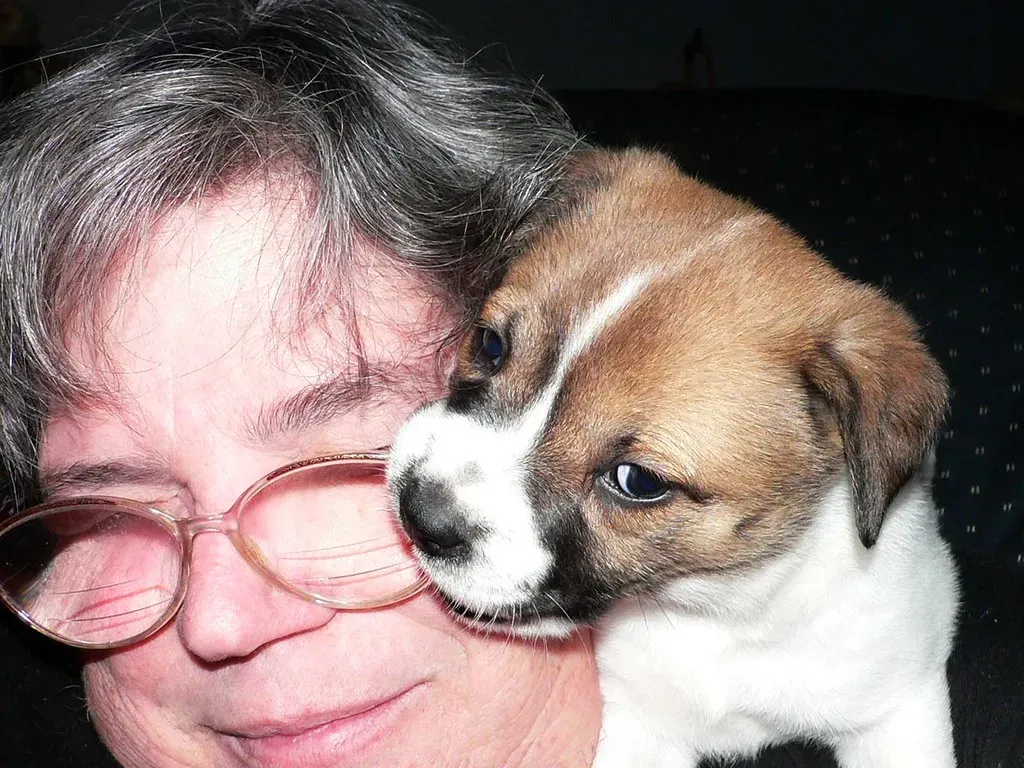 Teething Isn't Just a Puppy Problem (Image Credits: Flickr)