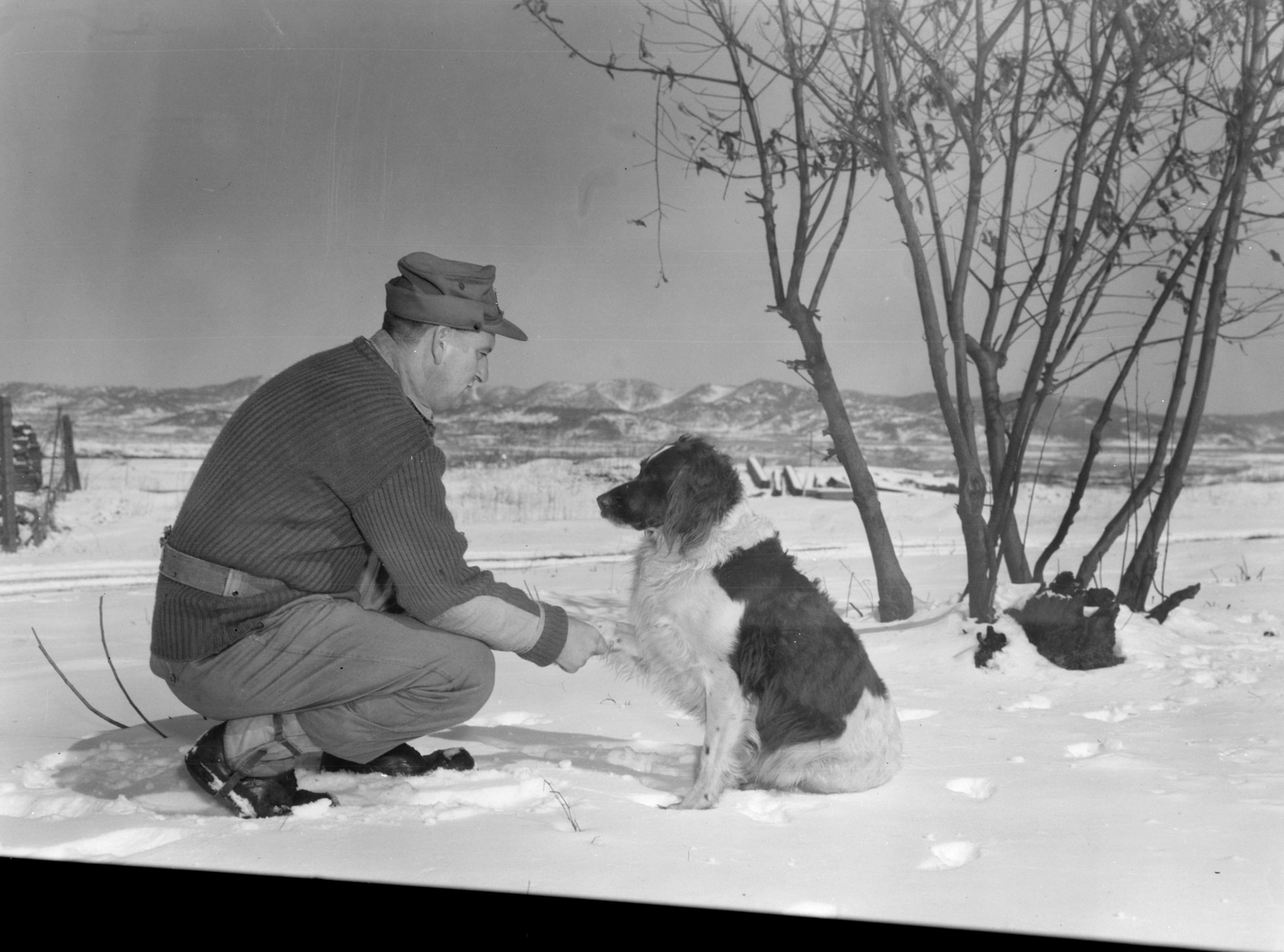 Conclusion (Image Credits: Wikimedia)