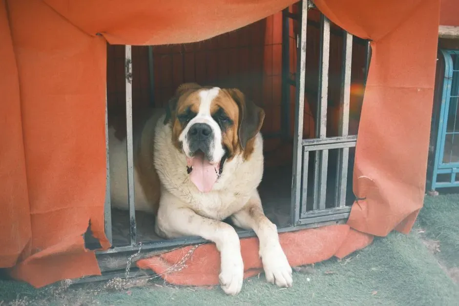 How To Choose A Large Dog That Matches Your Energy (Image Credits: Pexels)