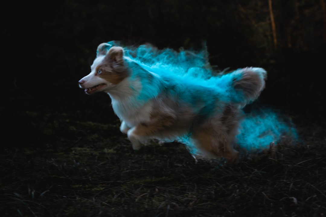 The Final Burst of Energy Before Letting Go (Image Credits: Unsplash)