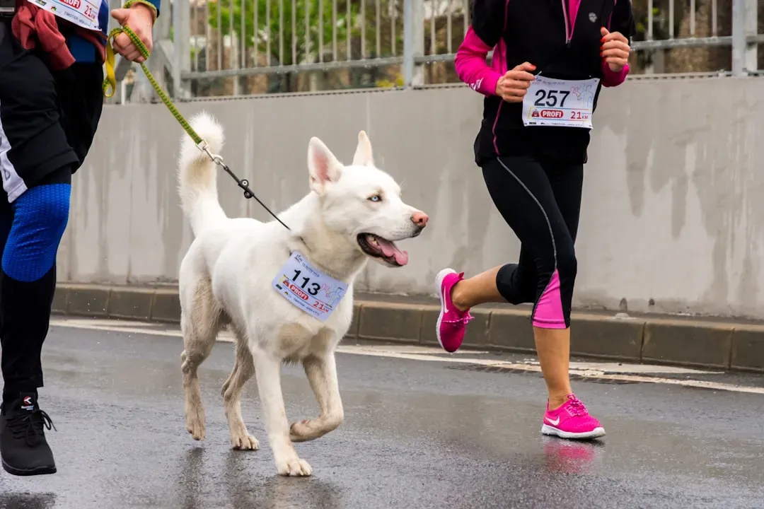 #2: Make Exercise a Daily Habit, Not a Weekend Event (Image Credits: Unsplash)