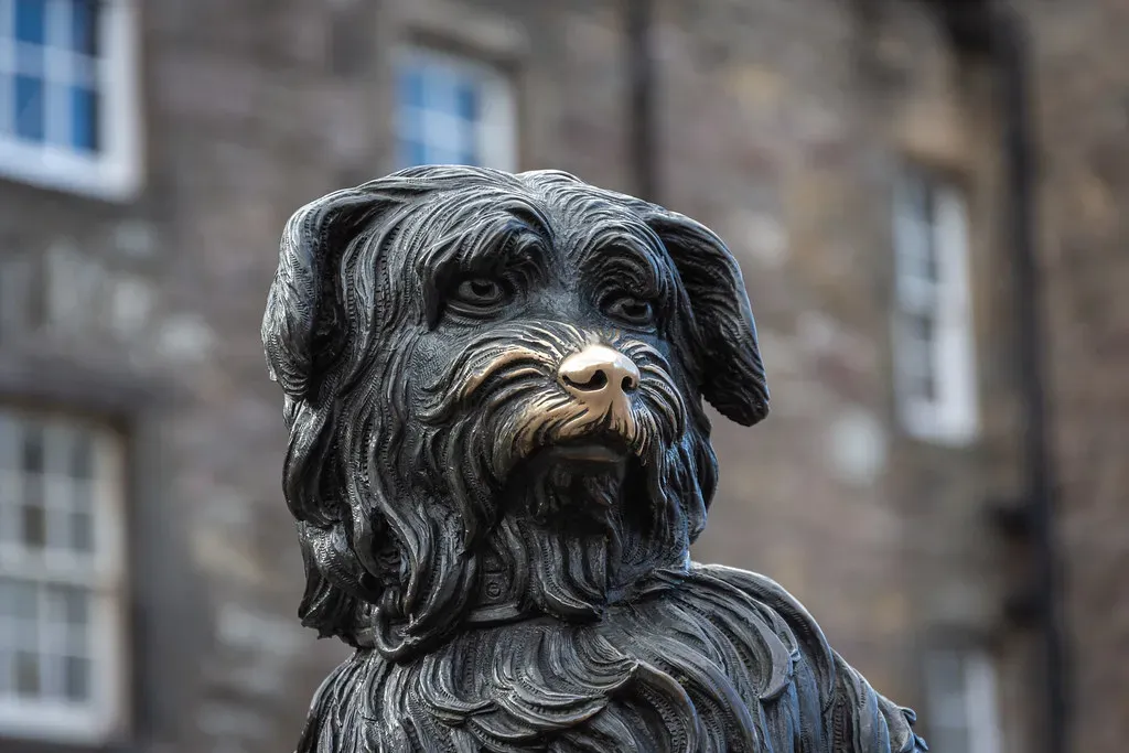 Conclusion: Your Dog Is Keeping Score, in the Best Possible Way (Image Credits: Flickr)