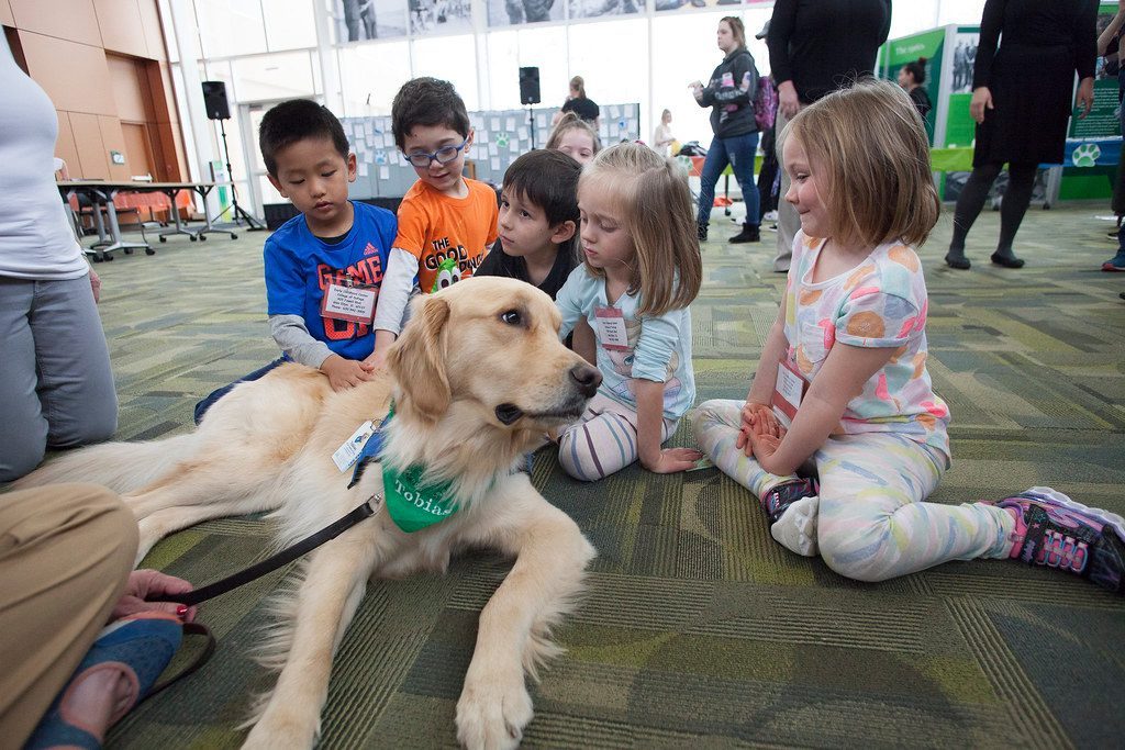 Finding Comfort in Uncertain Moments (Image Credits: Flickr)