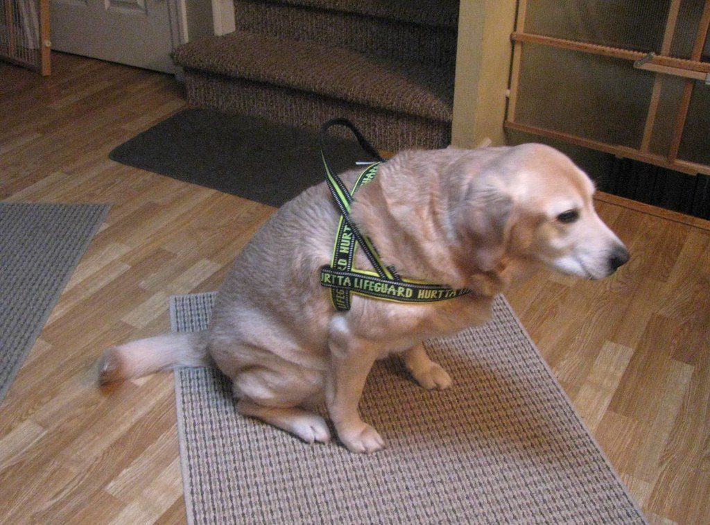 Equipment Issues: When Comfort Becomes a Problem (Image Credits: Flickr)