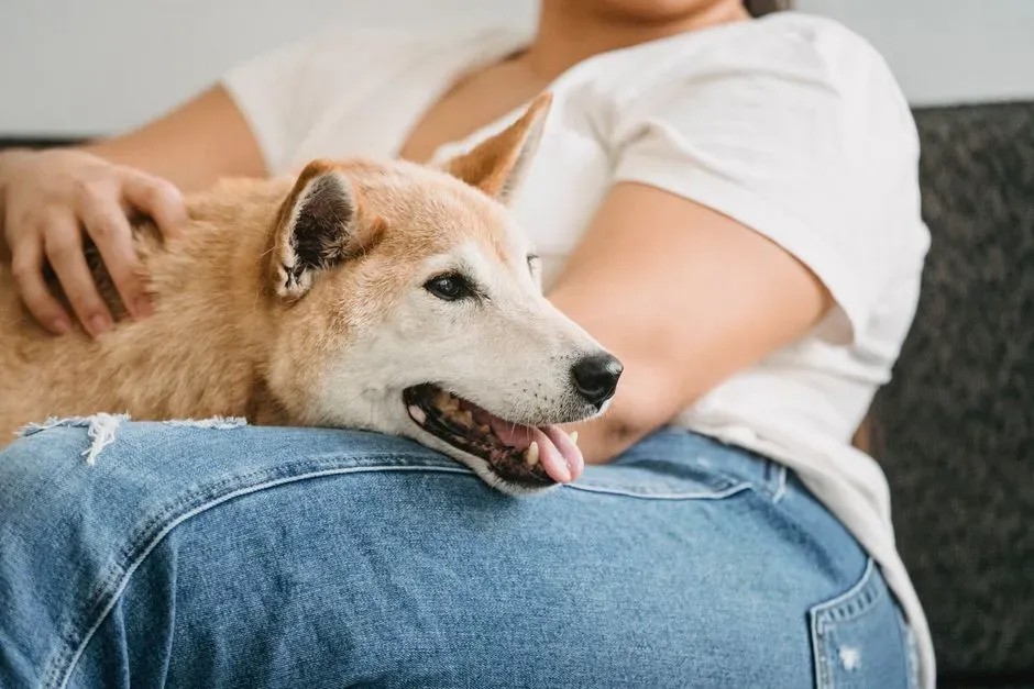 #6: Resting Their Head in Your Lap One More Time (Image Credits: Pexels)