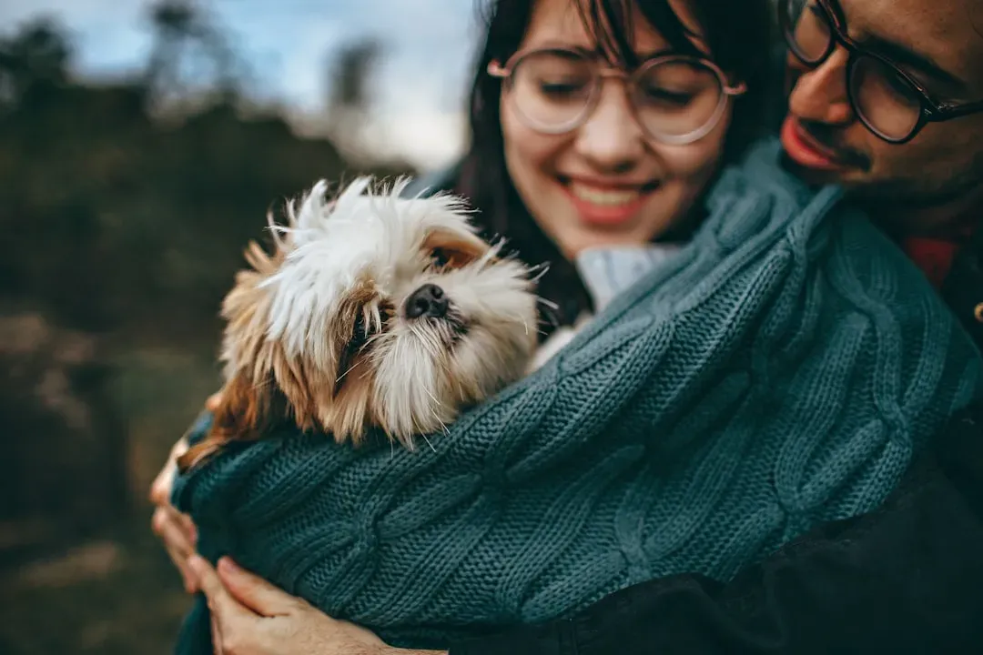 8. Shih Tzu: The Tiny Homebody With Big Feelings (Image Credits: Unsplash)