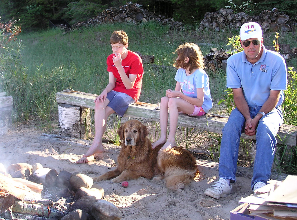 The Gentle Morning Motivator - Golden Retriever (Image Credits: Flickr)