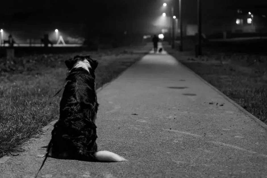 Behavioral Signs Of Patient Waiting (Image Credits: Pexels)